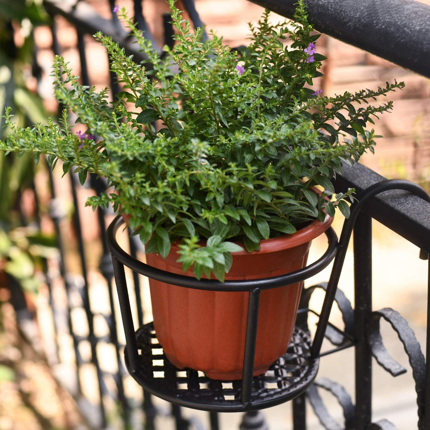Hanging flower stand