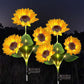 💐 ¡50% DE DESCUENTO! Luces solares de girasol – Decoración luminosa para el jardín 🌻🌙 【Oferta limitada】