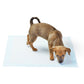 Alfombrillas para perros (20 unidades)