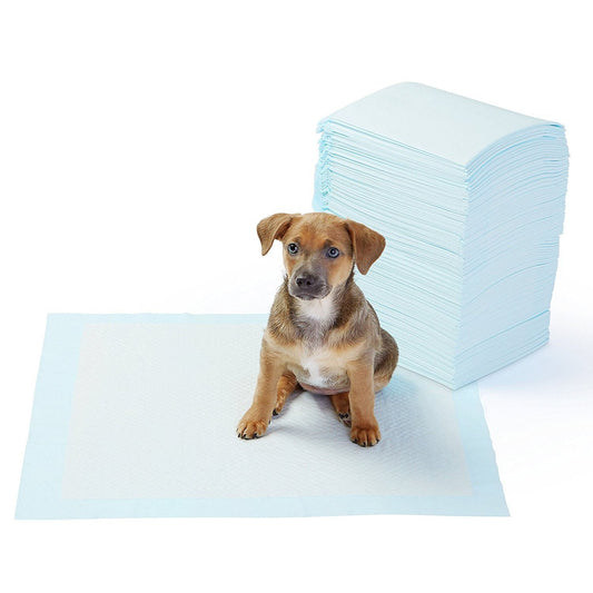 Alfombrillas para perros (20 unidades)