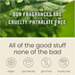 🍃Scented Car Freshener - Car Air Freshener Diffuser - Last 60+ Days