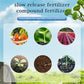 All-Purpose Slow-Release Tablet Fertilizer for Plants