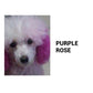 80ml Safe and Healthy Pet Hair Dye