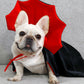 Halloween Creative Cape Pet Costume