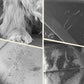 Hard Bottom Car Seat Cover for Pet