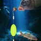 🎣⚡ Double-Hook Reverse Bottom Rig!–Say Goodbye to Ssnagging! 🎣