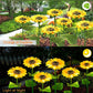 💐 ¡50% DE DESCUENTO! Luces solares de girasol – Decoración luminosa para el jardín 🌻🌙 【Oferta limitada】