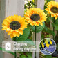 💐 ¡50% DE DESCUENTO! Luces solares de girasol – Decoración luminosa para el jardín 🌻🌙 【Oferta limitada】
