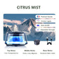Rechargeable Smart Car Mist Diffuser