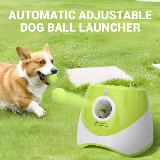 Lanzador automático ajustable de pelotas para perros