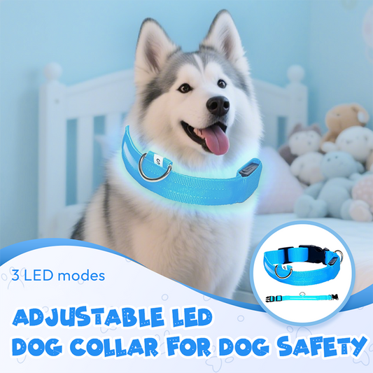 🎅Christmas Sale 50% OFF🎁Collar de perro LED ajustable para la seguridad del perro
