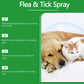 ⏰🔥 ¡50% DE DESCUENTO POR TIEMPO LIMITADO! 🐶🐱 Spray Natural Antipulgas y Garrapatas – Protege a tus Mascotas de Forma Segura y Efectiva 🌿✨