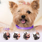 🔥Nuevos productos 2026🔥Collar antimosquitos e insecticida ajustable para gatos y perros