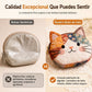 🐱✨ Monedero mini de gato con retazos y portatarjetas – bolsita creativa y portátil para niña 👛🎀