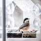 🔥Hot Sale-50% Off🔥Transparent Acrylic  Window Bird Feeder🐦